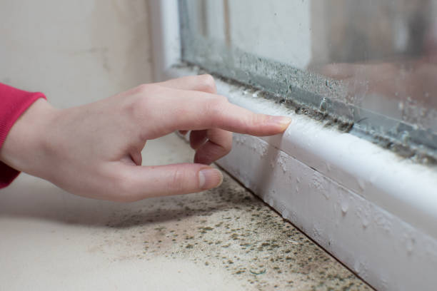 Asbestos and Lead Testing During Mold Inspection in Yanceyville, NC