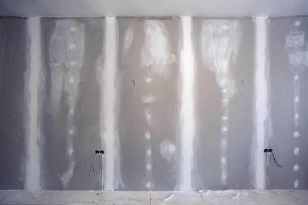Best Black Mold Removal  in Yaeyville, NC